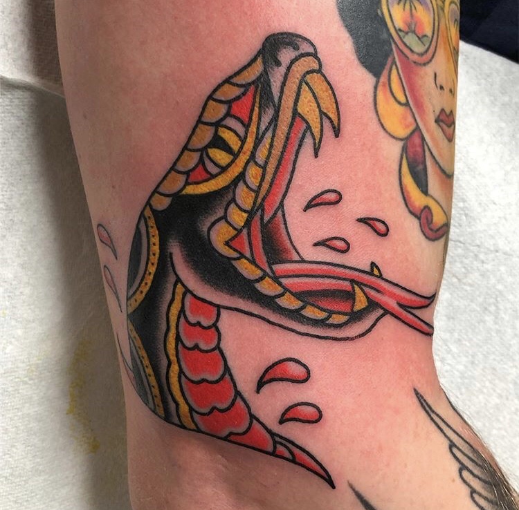 Snake Head Tattoo Designs Ideas Petpress In 2020 Traditional Snake Tattoo T...